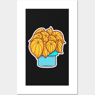 Yellow Peperomia | Cute Plant Posters and Art